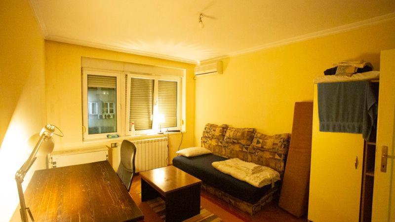 Private Cozy 1 With Shared Kitchen In Appartment, Downtown Belgrade
